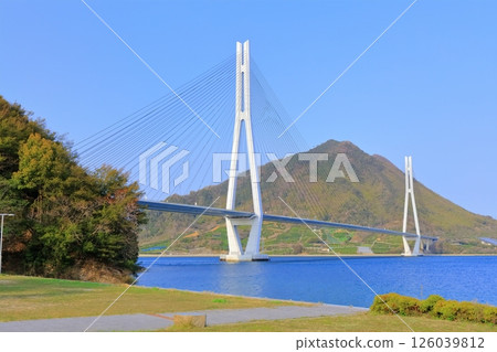 [Hiroshima Prefecture] Tatara Bridge as seen from Tatara Shimanami Park Roadside Station in spring 126039812