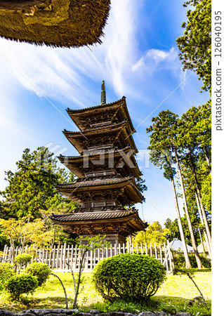 [新潟縣_妙仙寺]新潟縣僅存的五重塔 春季篇 4月 126040195