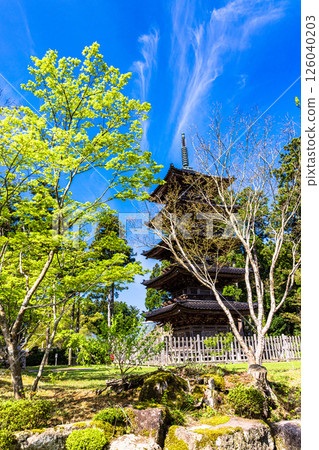 [新潟縣_妙仙寺]新潟縣僅存的五重塔 春季篇 4月 126040203