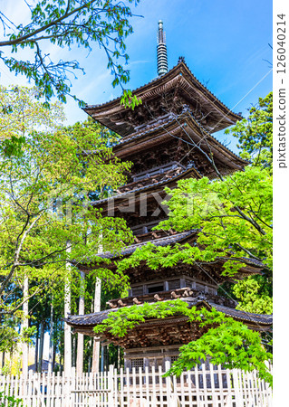 [新潟縣_妙仙寺]新潟縣僅存的五重塔 春季篇 4月 126040214