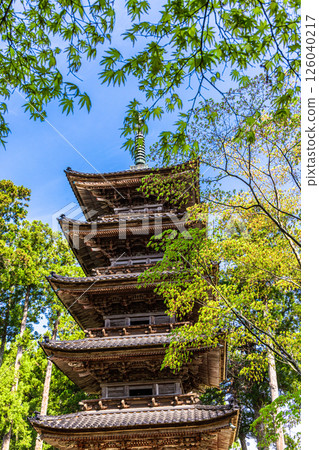 [Niigata Prefecture_Myosenji Temple] The only remaining five-story pagoda in Niigata Prefecture Spring Edition April 126040217