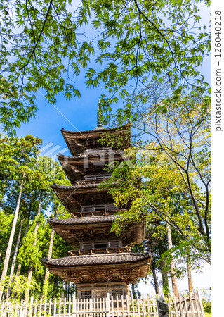 [Niigata Prefecture_Myosenji Temple] The only remaining five-story pagoda in Niigata Prefecture Spring Edition April 126040218