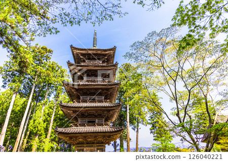 [新潟縣_妙仙寺]新潟縣僅存的五重塔 春季篇 4月 126040221