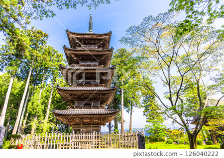 [新潟縣_妙仙寺]新潟縣僅存的五重塔 春季篇 4月 126040222