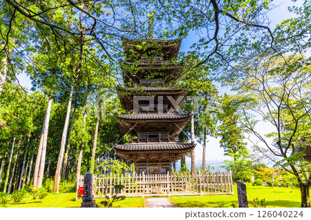 [新潟縣_妙仙寺]新潟縣僅存的五重塔 春季篇 4月 126040224