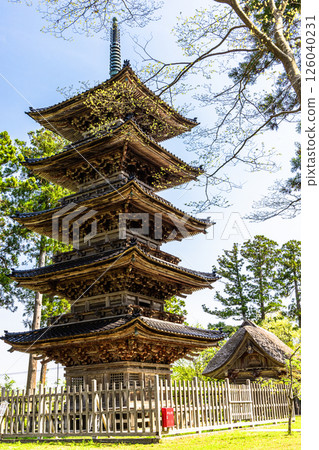 [新潟縣_妙仙寺]新潟縣僅存的五重塔 春季篇 4月 126040231