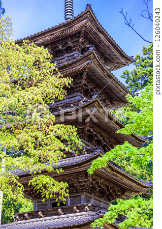 [新潟縣_妙仙寺]新潟縣僅存的五重塔 春季篇 4月 126040243