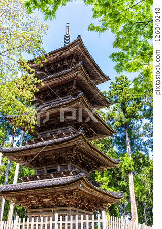 [Niigata Prefecture_Myosenji Temple] The only remaining five-story pagoda in Niigata Prefecture Spring Edition April 126040248