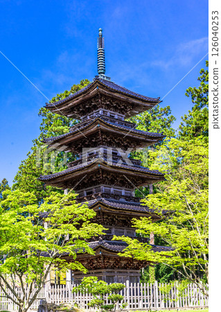 [新潟縣_妙仙寺]新潟縣僅存的五重塔 春季篇 4月 126040253