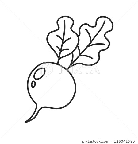 Beetroot vegetable with leaves icon in flat style. Beet plant vector illustration on isolated background. Healthy food sign business concept. 126041589