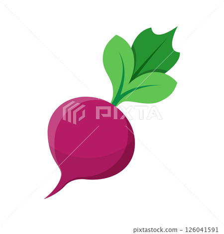 Beetroot vegetable with leaves icon in flat style. Beet plant vector illustration on isolated background. Healthy food sign business concept. Beetroot vegetable with leaves icon in flat style. Beet plant vector illustration on isolated background. Healthy food sign business concept. 126041591