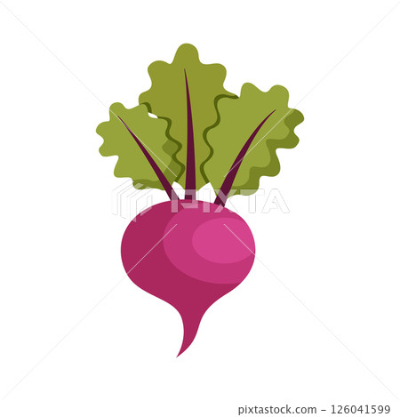 Beetroot vegetable with leaves icon in flat style. Beet plant vector illustration on isolated background. Healthy food sign business concept. 126041599