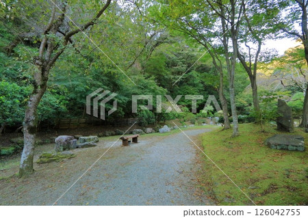 Nanasawa Forest Park, Atsugi City, Kanagawa Prefecture 126042755