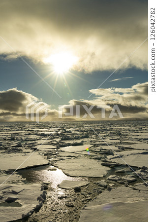 Sea ice in the Barents Sea near Franz Josef Land in summer  126042782