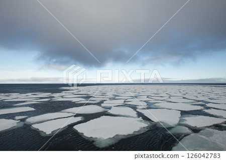 Sea ice in the Barents Sea near Franz Josef Land in summer  126042783