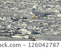 Big polar bear on drift ice edge . 126042787
