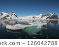 Crabeater seals resting on ice floe Antarctica 126042788