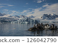 Gentoo Penguins on the rock with mountain background  126042790