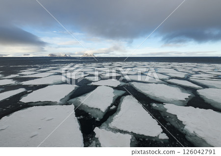 Sea ice in the Barents Sea near Franz Josef Land in summer  126042791