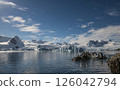 Gentoo Penguins on the rock with mountain background  126042794