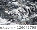 Chinstrap Penguins coming to the water 126042798
