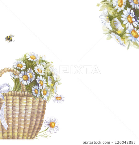 A square summer frame with a basket, a bouquet of daisies and a small bumblebee, hand-drawn. A watercolor template for your design. Empty space for insertion. Gardening. Farming. Picnic. Outdoor A square summer frame with a basket, a bouquet of daisies and a small bumblebee, hand-drawn. A watercolor template for your design. Empty space for insertion. Gardening. Farming. Picnic. Outdoor 126042885