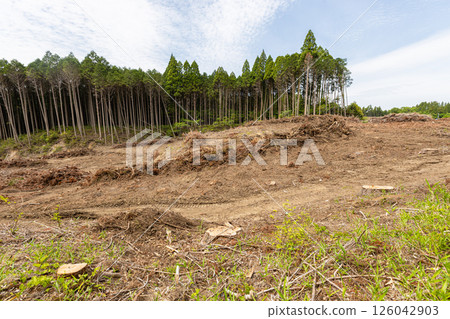 Mountains after cedar trees have been cut down. Causes of deforestation and flooding due to solar power development. 126042903