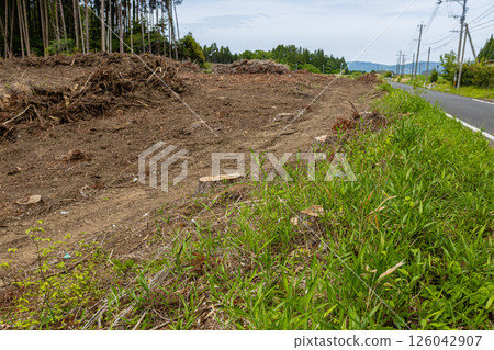 Mountains after cedar trees have been cut down. Causes of deforestation and flooding due to solar power development. Mountains after cedar trees have been cut down. Causes of deforestation and flooding due to solar power development. 126042907