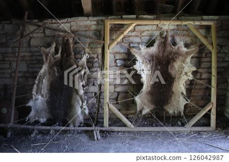 科斯梅斯頓中世紀村莊，皮革工人的房屋，威爾斯卡迪夫 126042987