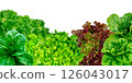 Frame set of lettuce leaves isolated on a white background. 126043017