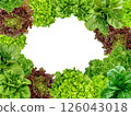 Frame set of lettuce leaves isolated on a white background. 126043018