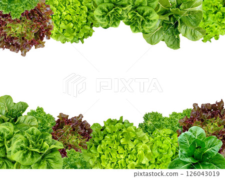 Frame set of lettuce leaves isolated on a white background. Frame set of lettuce leaves isolated on a white background. 126043019