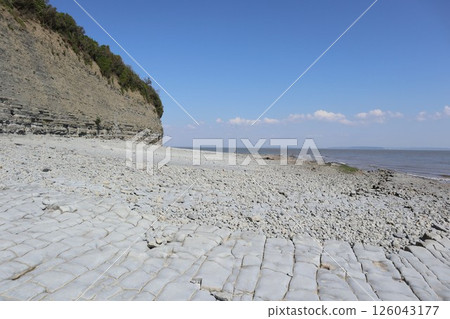 威爾斯卡迪夫的佩納斯懸崖恐龍足跡 126043177