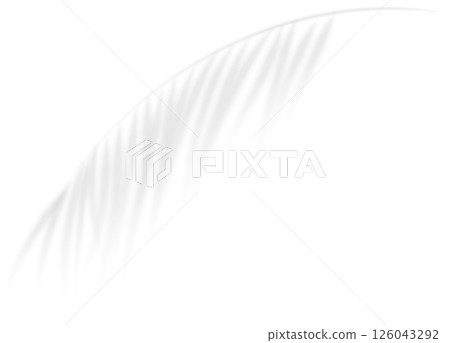 The transparent shadow overlay effect bamboo leaf. Realistic transparent shadow of a palm branch. Mockup with tropic leaves shadow. Vector illustration The transparent shadow overlay effect bamboo leaf. Realistic transparent shadow of a palm branch. Mockup with tropic leaves shadow. Vector illustration 126043292