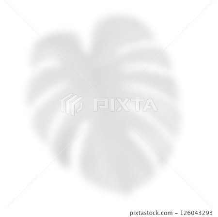 The transparent shadow overlay effect monstera leaf. Realistic transparent shadow of a palm branch. Mockup with tropic leaves shadow. Vector illustration 126043293