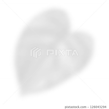 The transparent shadow overlay effect tropic leaf. Realistic transparent shadow of tropic palm leaves. Vector illustration The transparent shadow overlay effect tropic leaf. Realistic transparent shadow of tropic palm leaves. Vector illustration 126043294