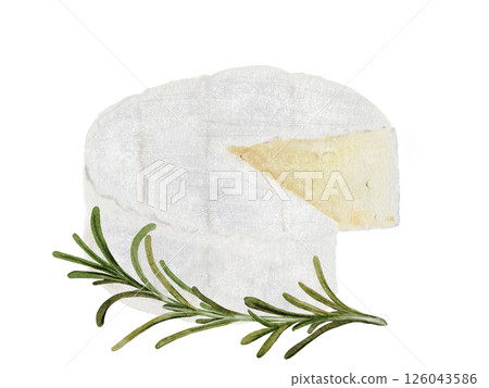 Camembert or brie cheese watercolor drawing. Hand drawn illustration of dairy cream product with rosemary of French cuisine. Clip art of food on white background. Ideal for packaging of farm organic 126043586