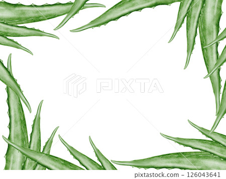 Aloe vera watercolor frame. Green leaf of the plant on a white background. Clip art botanical. Ideal for packaging cosmetics, posters of cosmetic clinics. Botanical succulent aloe. Aloe vera watercolor frame. Green leaf of the plant on a white background. Clip art botanical. Ideal for packaging cosmetics, posters of cosmetic clinics. Botanical succulent aloe. 126043641
