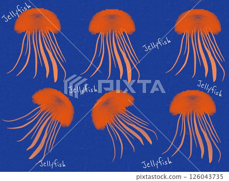 水母背景圖 126043735