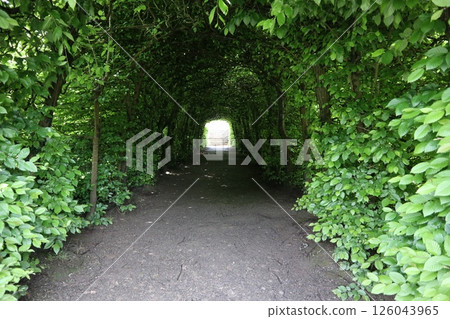Garden Tunnel, St Fagans Historic Village, Wales 126043965