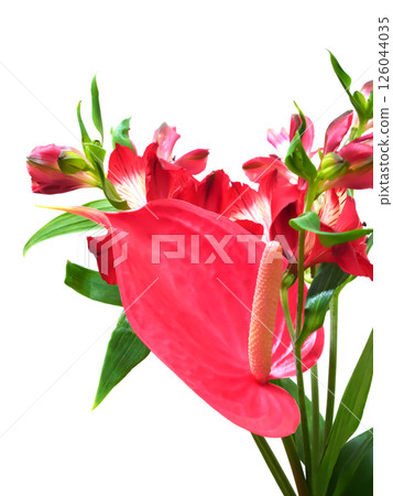 Red anthurium and alstroemeria flowers Red anthurium and alstroemeria flowers 126044035