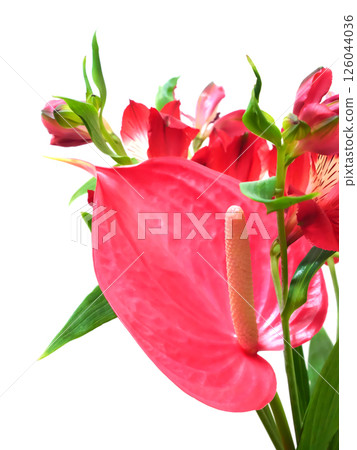 Red anthurium and alstroemeria flowers 126044036