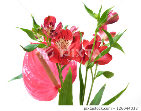 紅色的百合花和紅掌花 126044038