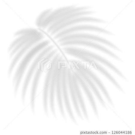 Realistic transparent shadow from a leaf of a palm tree. Mockup with tropic leaves shadow and overlay effect for product presentation and seasonal design. Vector illustration Realistic transparent shadow from a leaf of a palm tree. Mockup with tropic leaves shadow and overlay effect for product presentation and seasonal design. Vector illustration 126044186