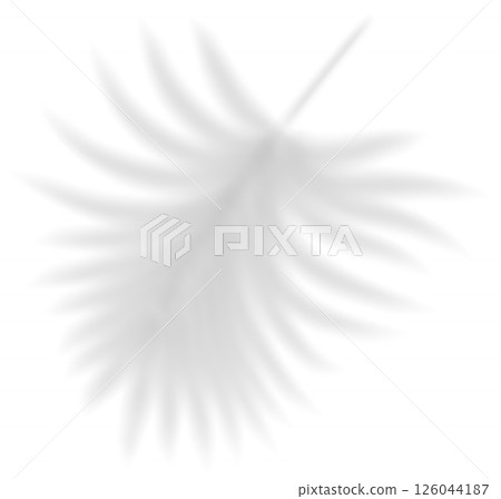 Realistic transparent shadow from a leaf of a palm tree. Mockup with tropic leaves shadow and overlay effect for product presentation and seasonal design. Vector illustration Realistic transparent shadow from a leaf of a palm tree. Mockup with tropic leaves shadow and overlay effect for product presentation and seasonal design. Vector illustration 126044187