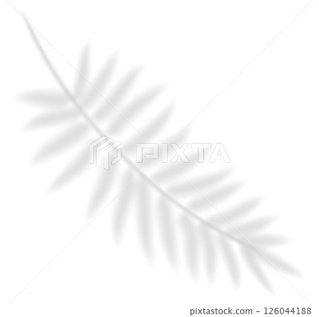 Realistic transparent shadow of a fern leaf. The shadow overlay effect of a tropic palm branch. Mockup with tropic leaves shadow. Vector illustration Realistic transparent shadow of a fern leaf. The shadow overlay effect of a tropic palm branch. Mockup with tropic leaves shadow. Vector illustration 126044188
