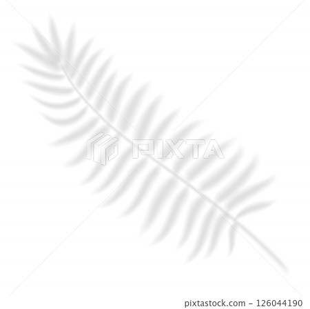 The transparent shadow overlay effect fern leaf. Realistic transparent shadow of a palm branch. Mockup with tropic leaves shadow. Vector illustration The transparent shadow overlay effect fern leaf. Realistic transparent shadow of a palm branch. Mockup with tropic leaves shadow. Vector illustration 126044190