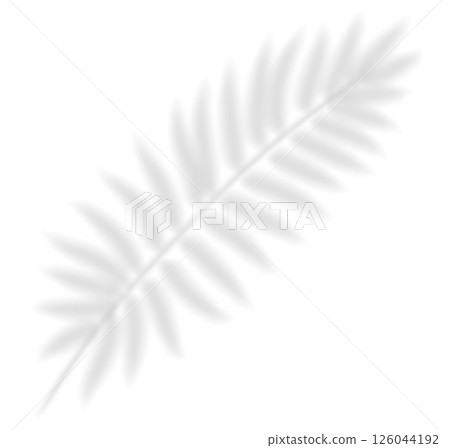 Realistic transparent shadow from a leaf of a fern, palm tree. Mockup with tropic leaves shadow and overlay effect for product presentation and seasonal design. Vector illustration 126044192