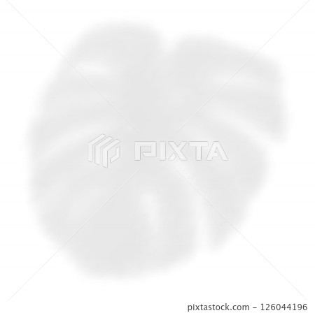 The transparent shadow overlay effect monstera leaf. Realistic transparent shadow of a palm branch. Mockup with tropic leaves shadow. Vector illustration 126044196