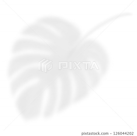Realistic transparent shadow of a palm branch. The transparent shadow overlay effect tropic leaf. Mockup with tropic Monstera leaves shadow. Vector illustration 126044202
